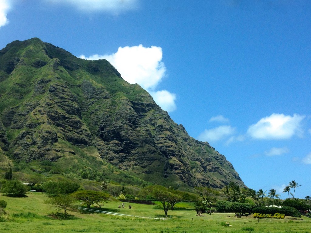 Oahu moutons along coast 