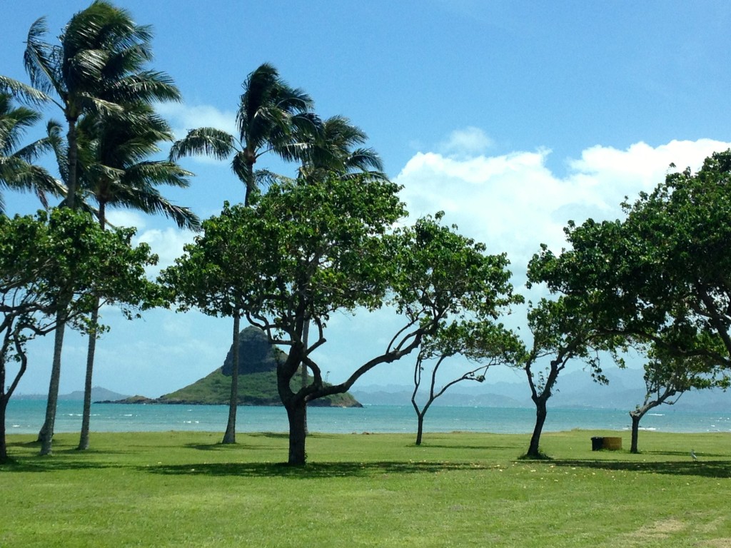 Hawaiian landscape photo