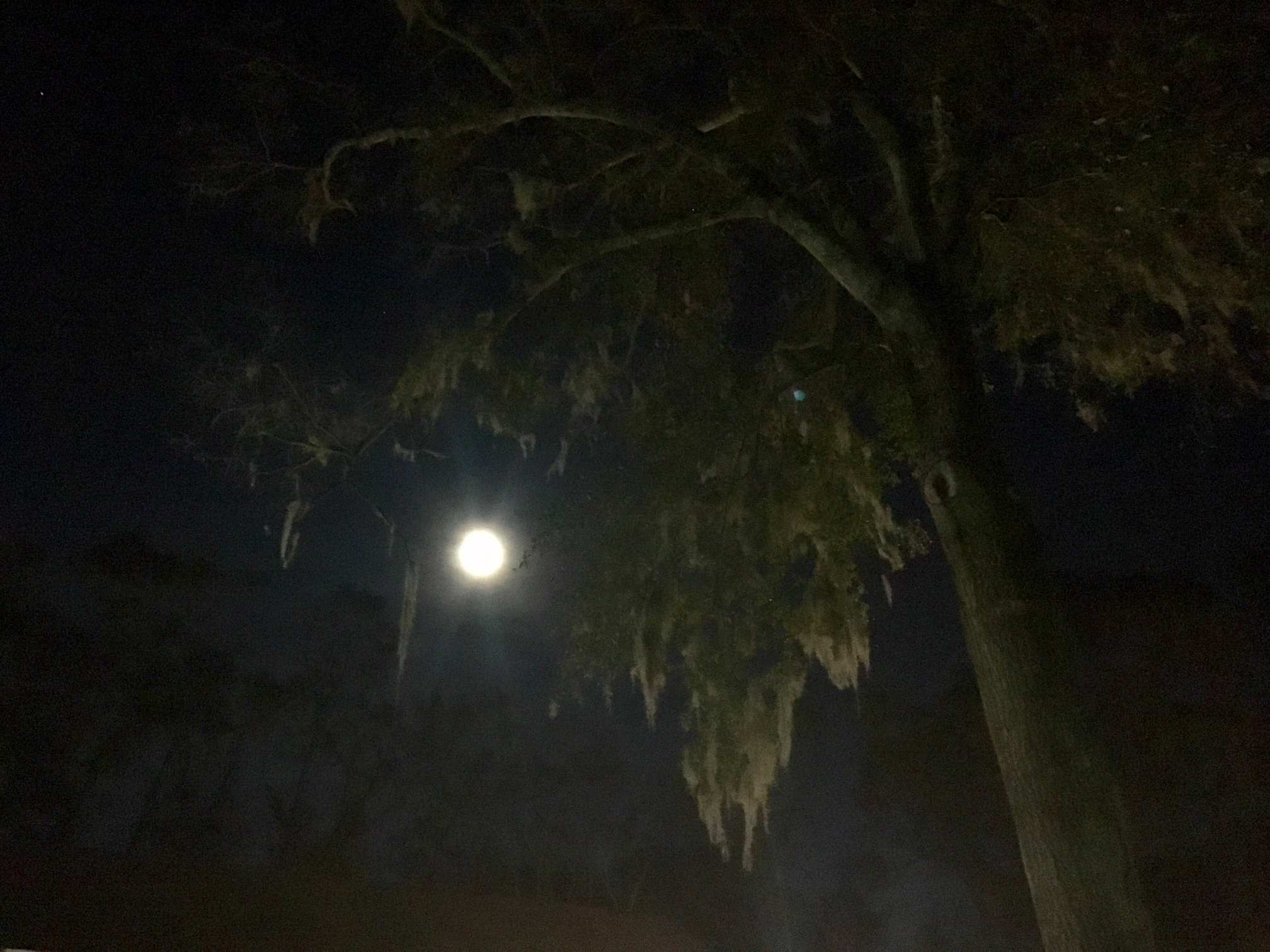lowcountry moon rise