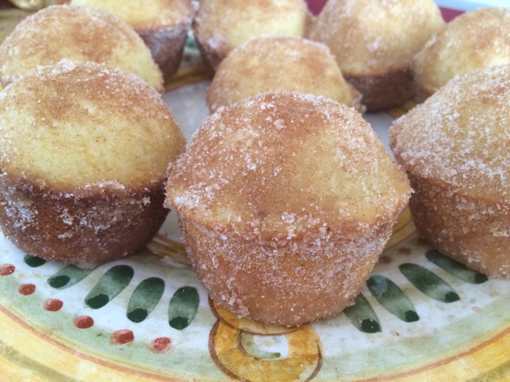 Cinnamon Sugar Muffin Recipe