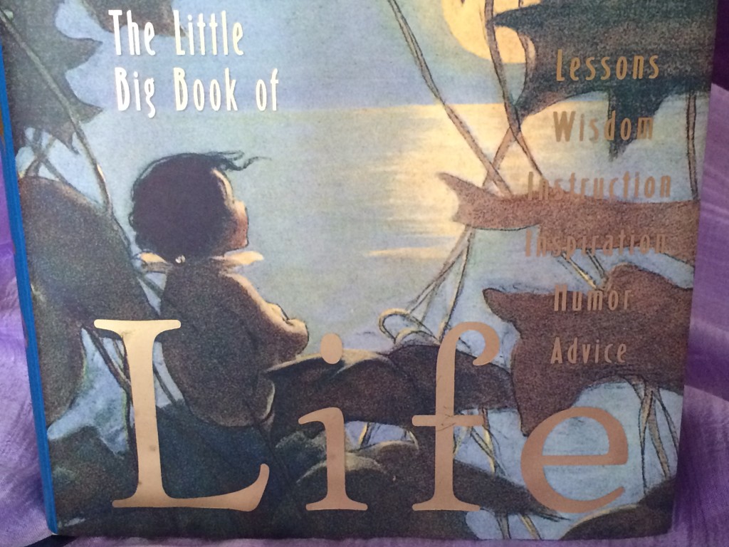 The Little Big Book of Life quotes