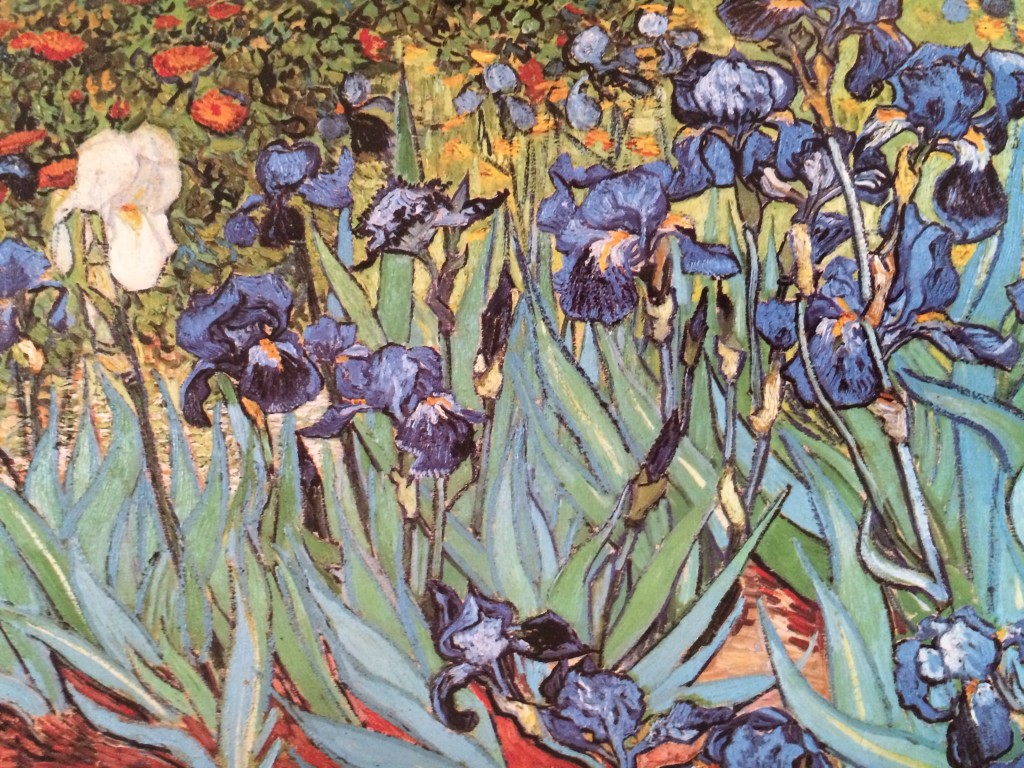 Van Gogh irises and roses art exhibit