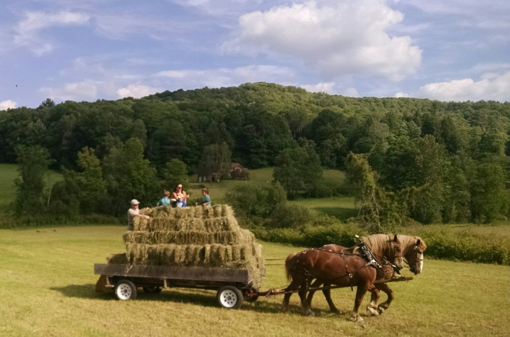 Horse carriage ride Vermont